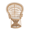 Rattan Peacock Chair